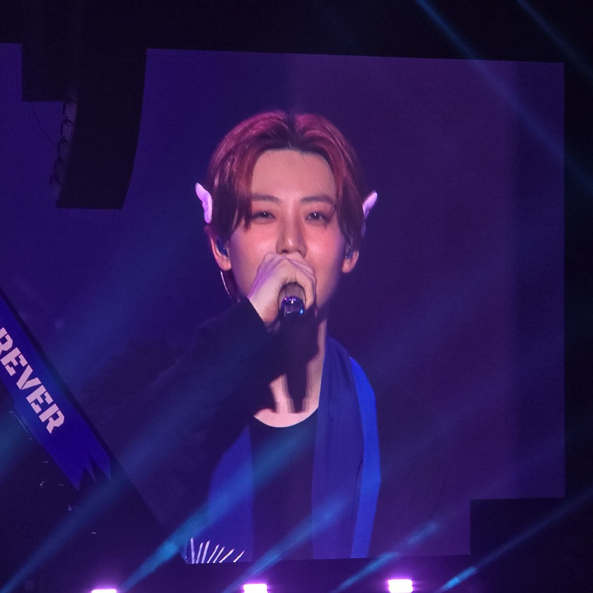 티트리 tweet media