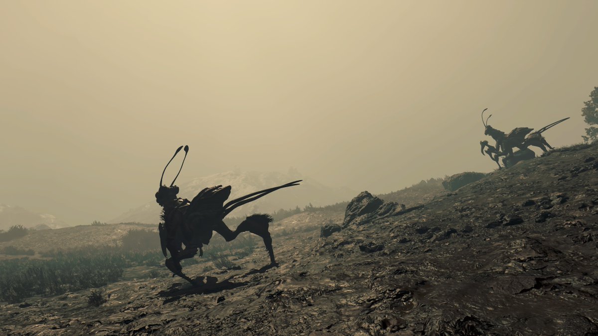 カワ王 tweet media