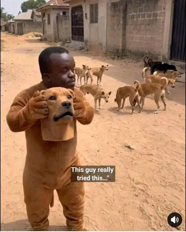 TAOFEEQ ADEDAMOLA tweet media