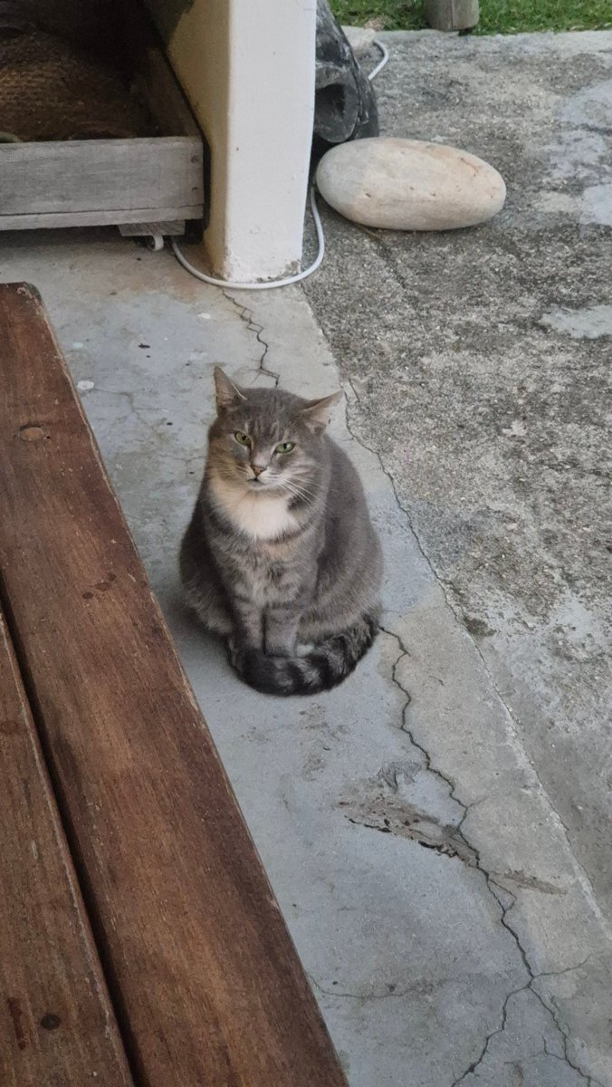 Rene Nel tweet media