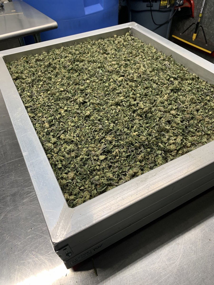 DJ Captain Cannabis® tweet media