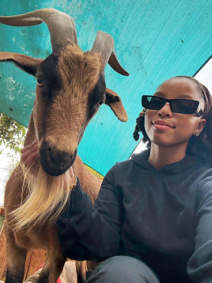CremoraOnTop's tweet photo. @ProfJNMoyo A well witten piece, Karabo. Very clear. After this, there should be no more arguments on #CA3.
This random lady had to take a picture with Karabo. #CA3Success #CA3Zimbabwe #CA3WINS https://t.co/0QnRjQzdAR