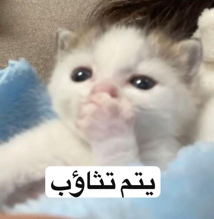 غـسـق tweet media