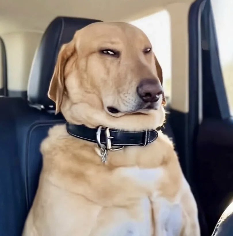 Tzar Capital tweet media