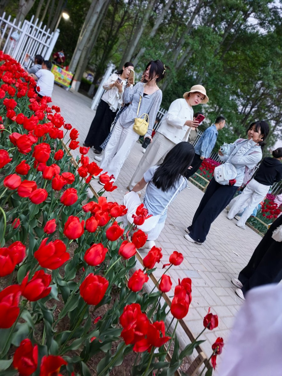 黄河人家Life Along the Yellow River tweet media