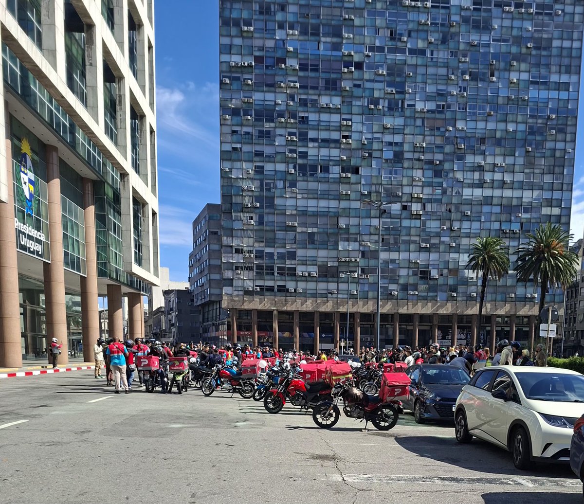 daniela leoni tweet media