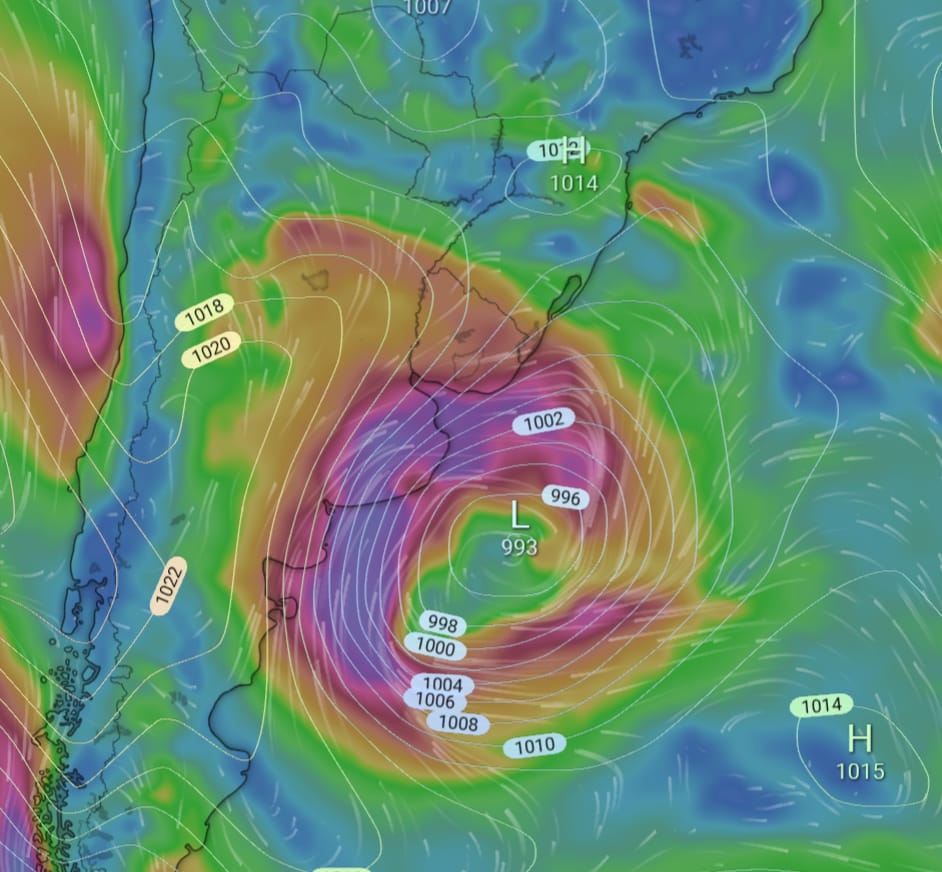 Juan Ayoroa tweet media