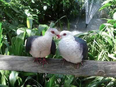 Handan Özduygu tweet media