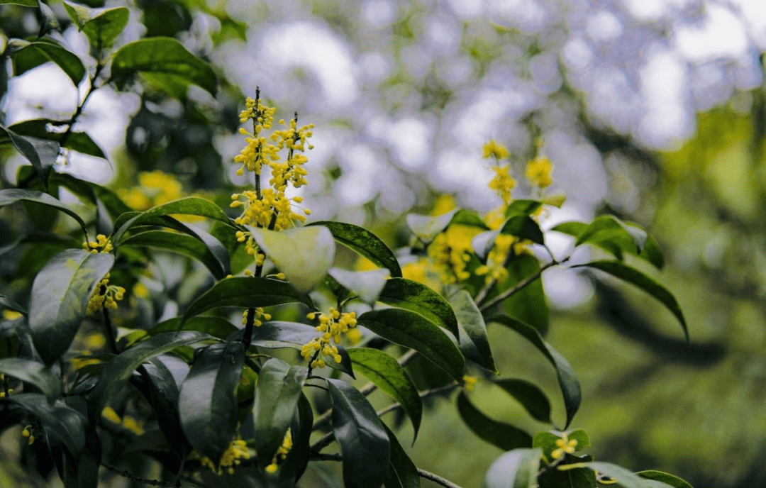 Celebs in Leggings tweet media