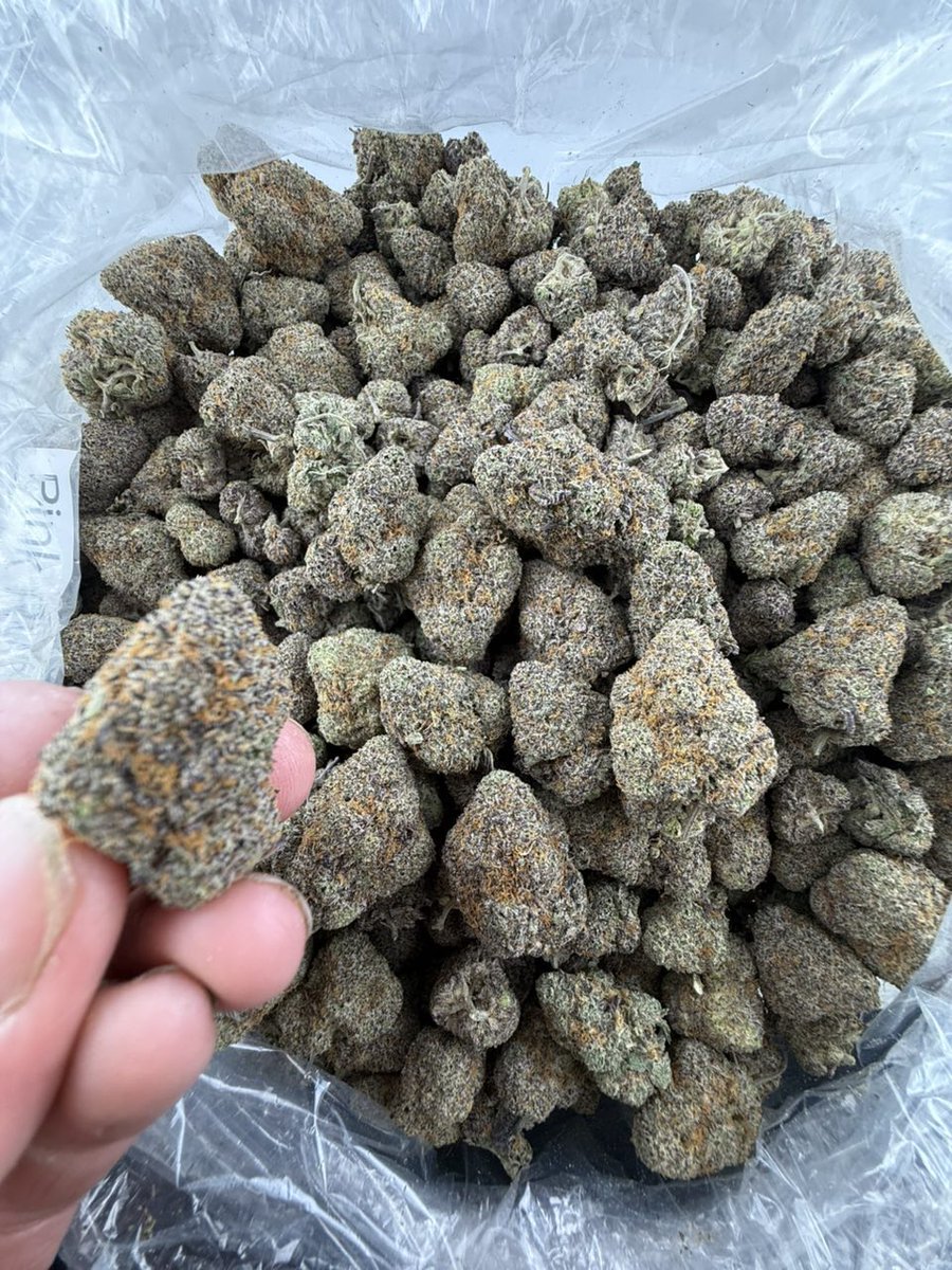 mandelamar8977's tweet photo. @Leafly @lastprisonerprj @benandjerrys https://t.co/m0hBNNC3Hc https://t.co/oaA1J3aJZr