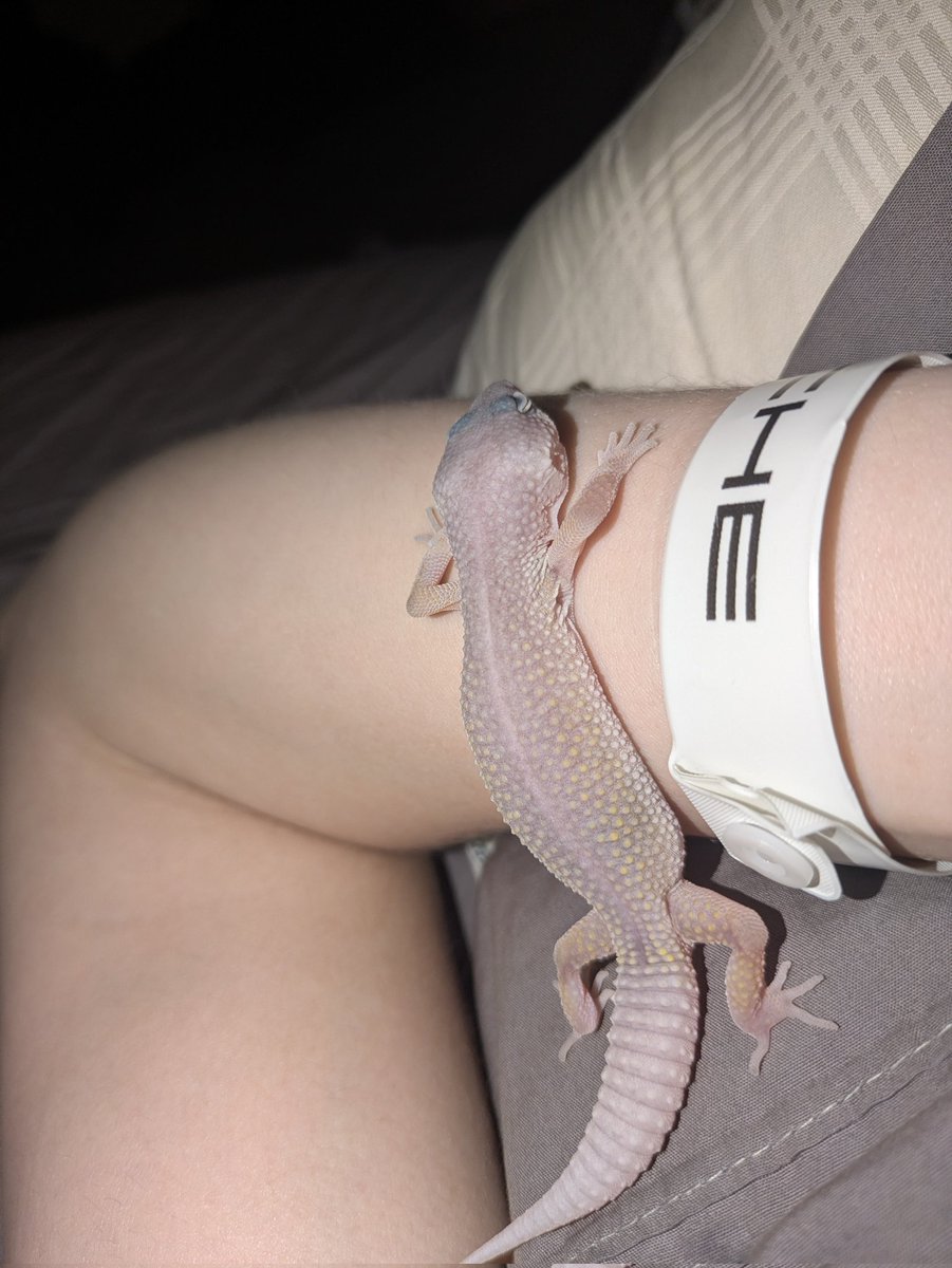 say hi to zero everyone