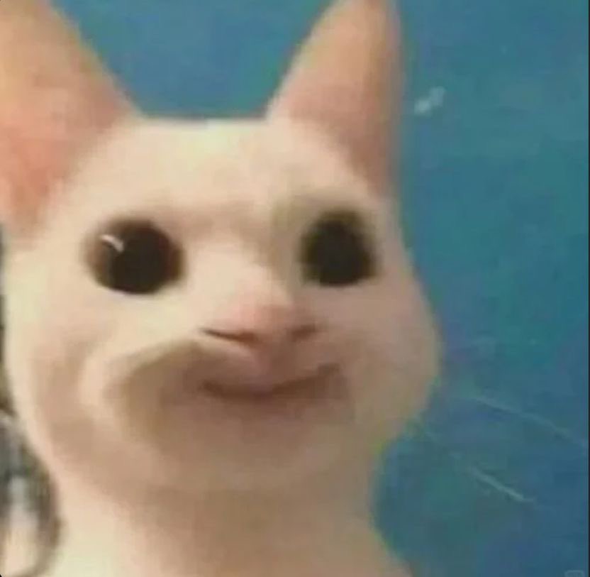 𝑨𝒁 .. tweet media