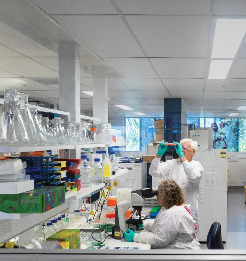 RotaryBrasil's tweet image. A malária mata + de 600.000 pessoas/ano. Sobrevivente da doença, Danielle Stanisic trabalha na descoberta de vacinas, e o #Rotary financia muitas destas pesquisas.

Neste Dia Mundial da Malária, lembramos que o progresso duradouro é resultado de pesquisa e suporte comunitário.