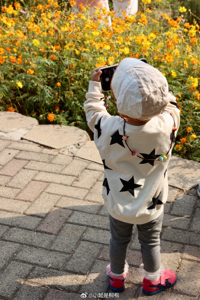 Joe Anderson tweet media