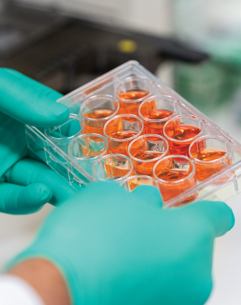 RotaryBrasil's tweet image. A malária mata + de 600.000 pessoas/ano. Sobrevivente da doença, Danielle Stanisic trabalha na descoberta de vacinas, e o #Rotary financia muitas destas pesquisas.

Neste Dia Mundial da Malária, lembramos que o progresso duradouro é resultado de pesquisa e suporte comunitário.