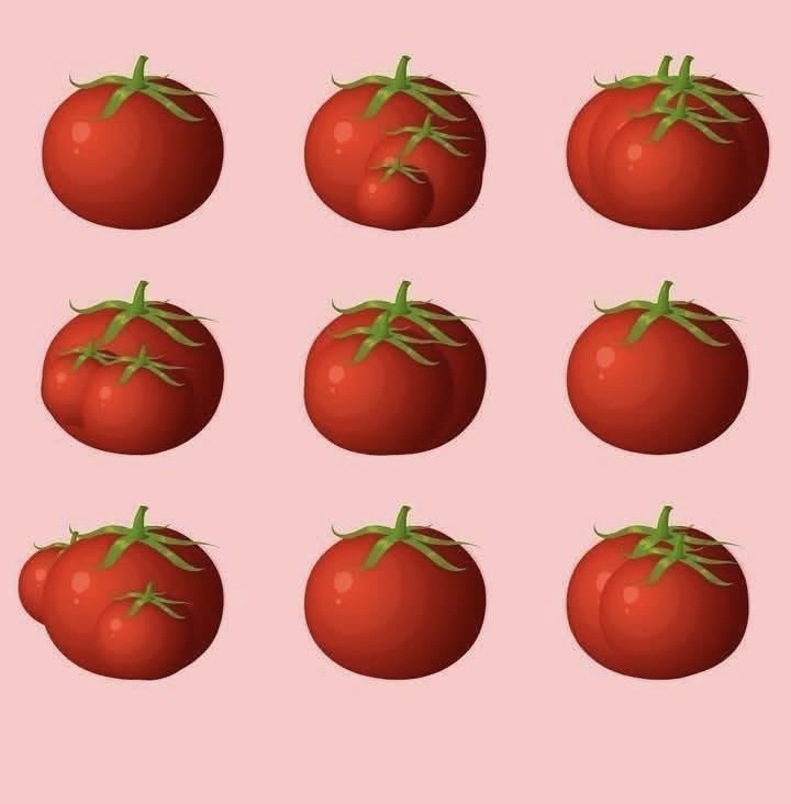 Eliane Dalla Valle tweet media