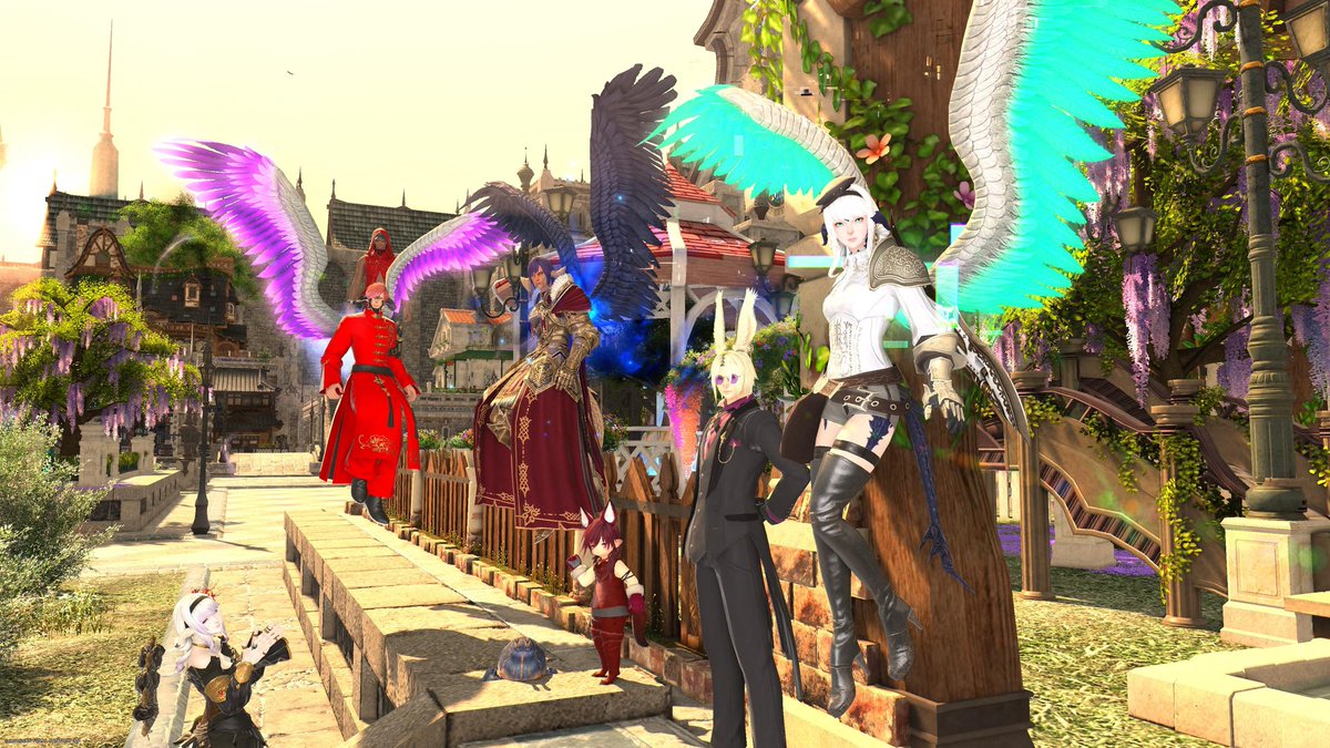 ☕︎ 𝔻𝕠𝕘𝕄𝕖𝕒𝕥 ☕︎ tweet media