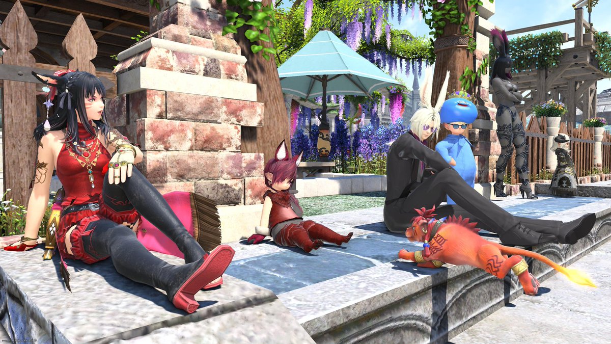 ☕︎ 𝔻𝕠𝕘𝕄𝕖𝕒𝕥 ☕︎ tweet media