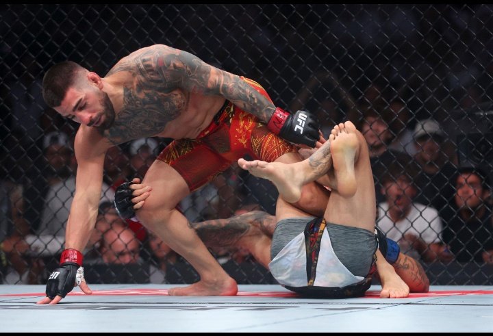 MMA Fan Wars 🎩⚔️⚔️ tweet media