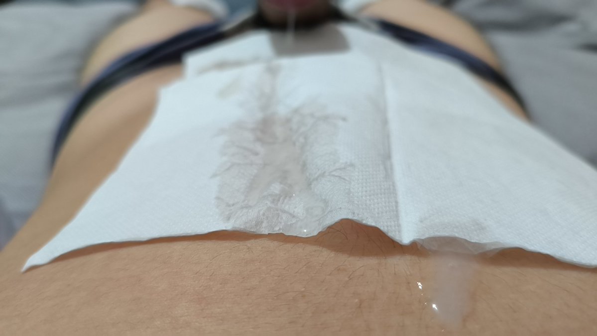 大灰猫 tweet media