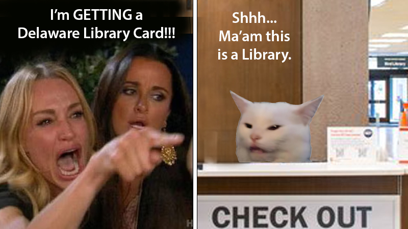 Delaware Libraries tweet media