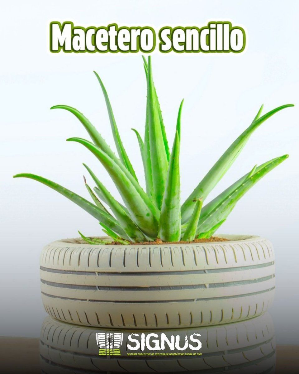 signusecovalor tweet media