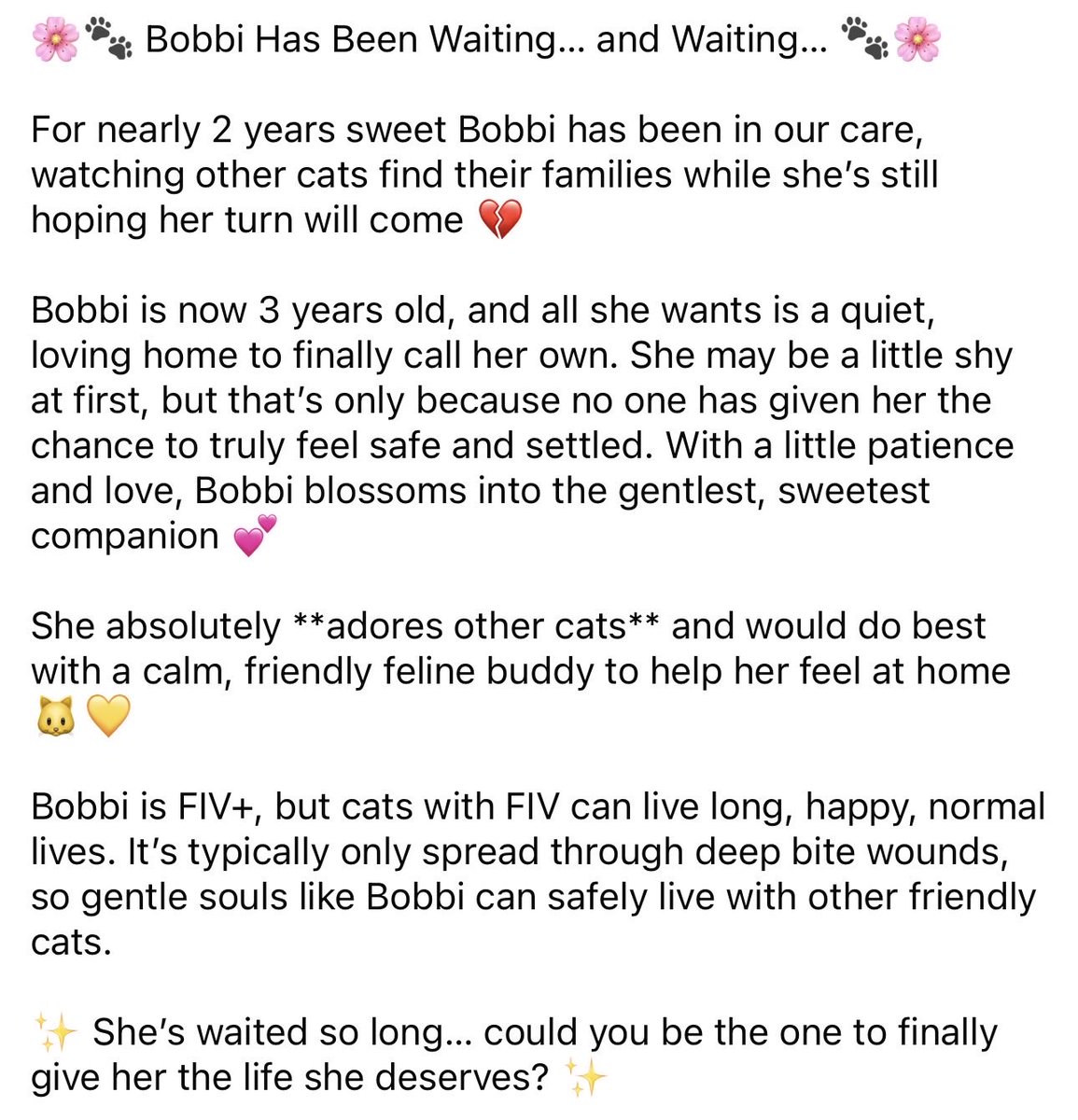 Niki *ੈ✩ tweet media