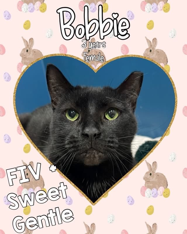 Niki *ੈ✩ tweet media