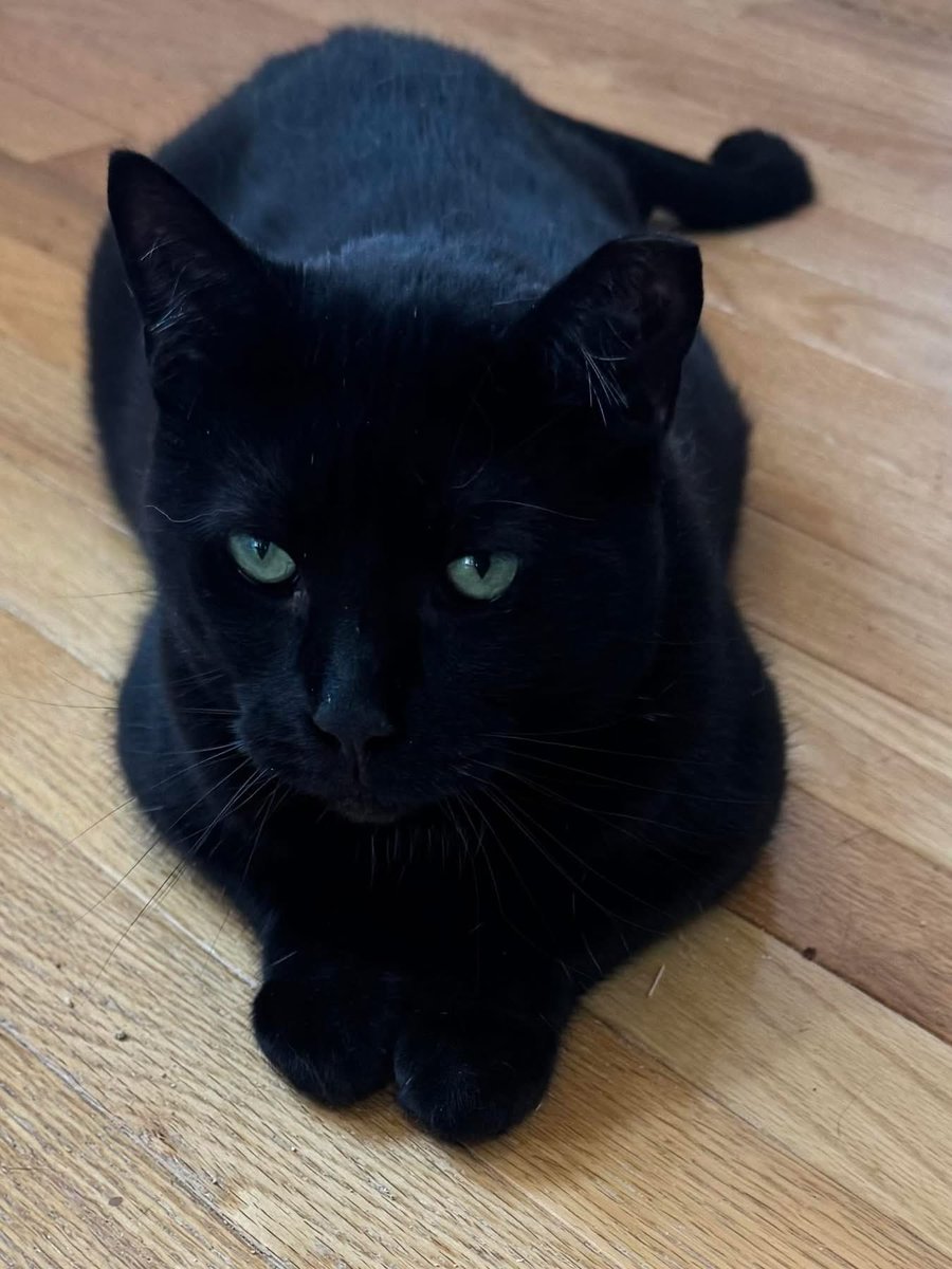 Niki *ੈ✩ tweet media