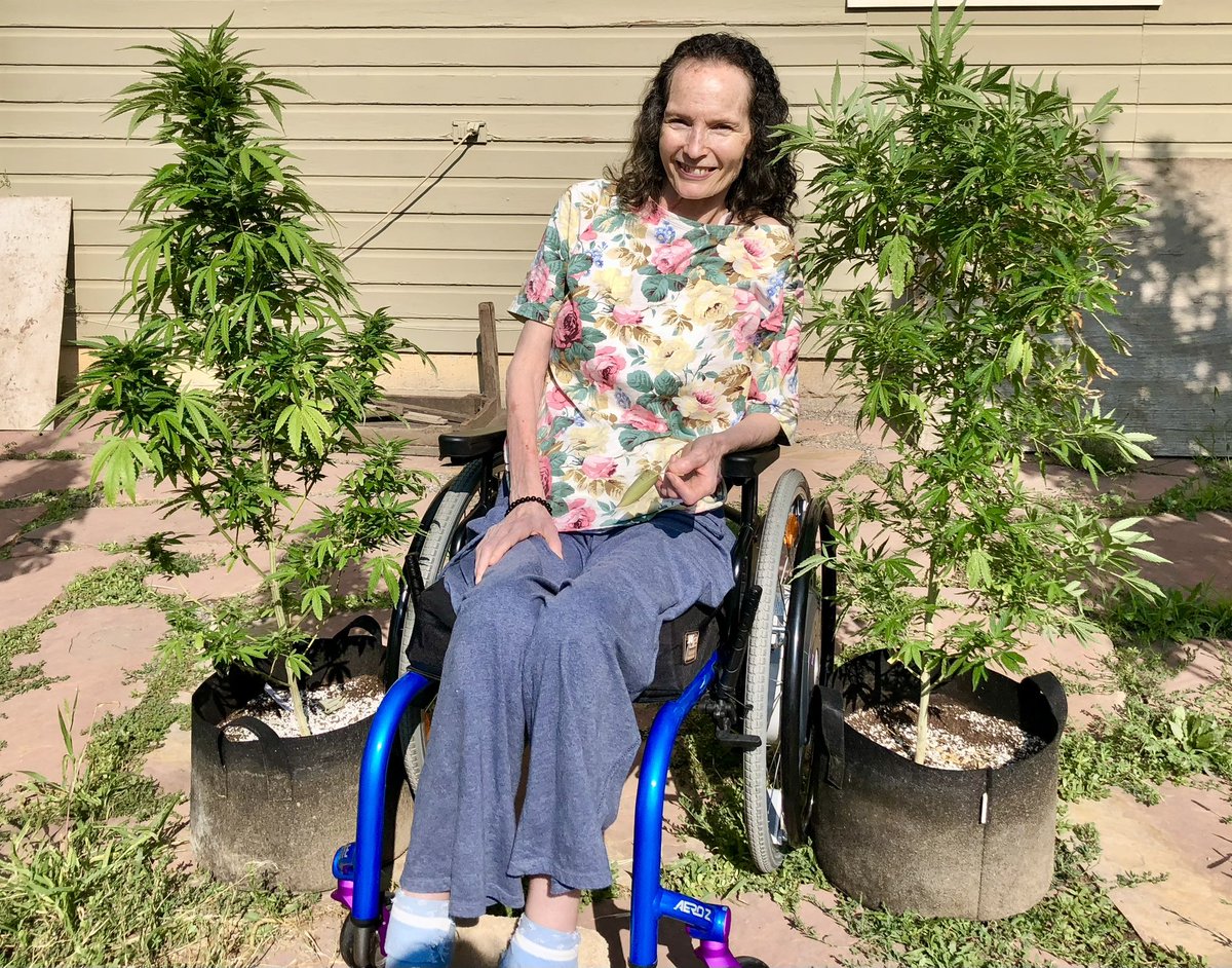 Andrew Michaan tweet media