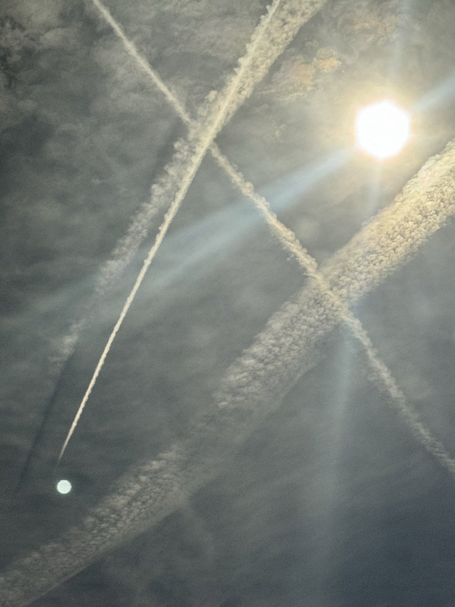 Efrat Fenigson tweet media