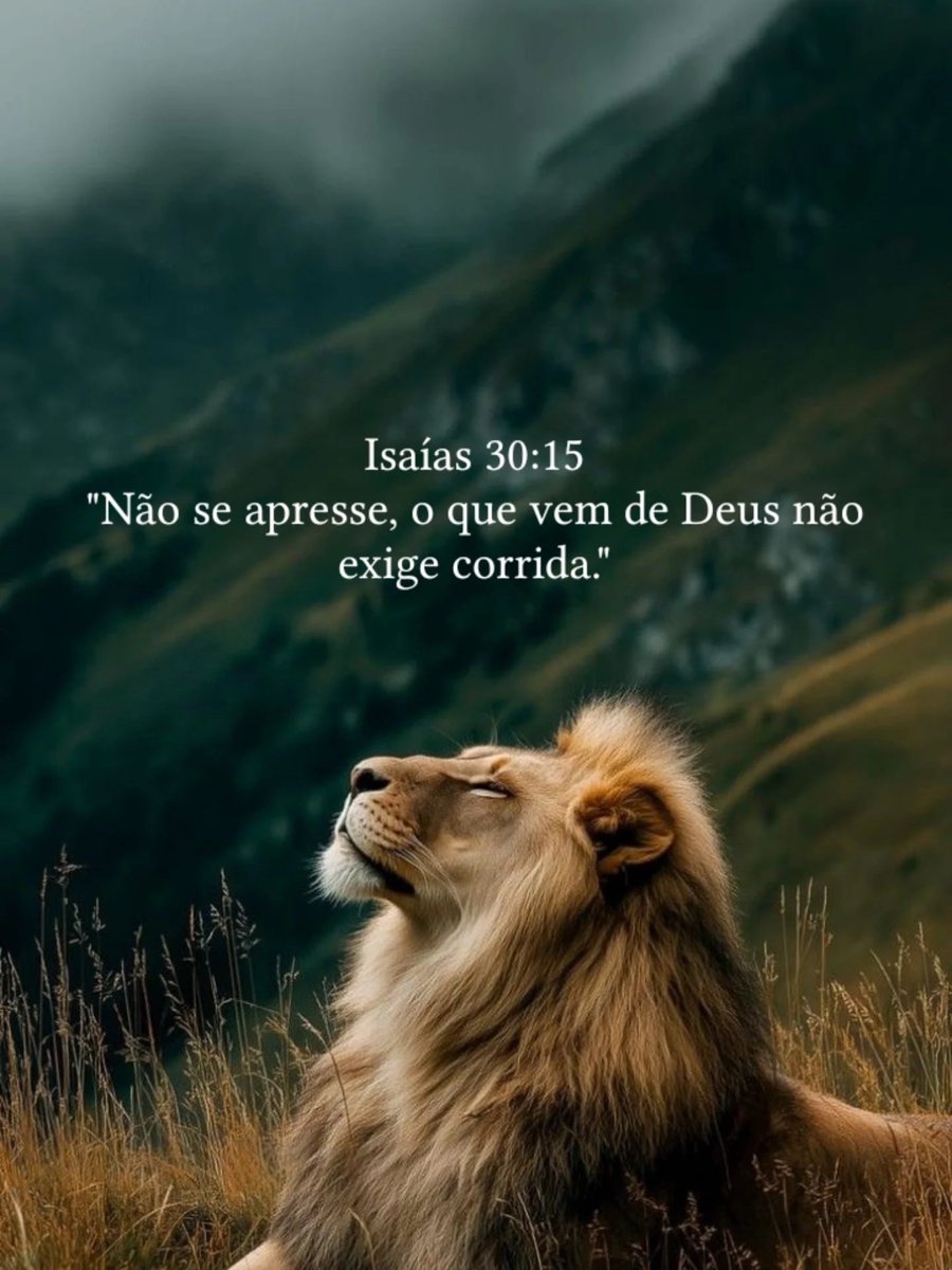 Cristo Vive ✟ (@cristov1ve) on Twitter photo 