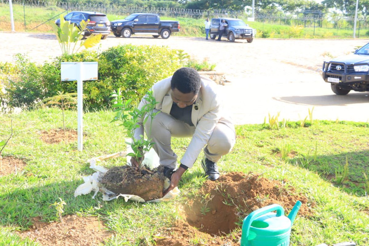 Drfrankhabineza's tweet image. It was such a great  joy for me to  plant a young tree yesterday in Bugesera Special Economic Zone, while on the Senate Economic Committees outreach on industrial parks around the country. @BugeseraDistr @Rwandasenate @RwandaParliamnt #Rwanda #Rwot @DemGreenPartyRw