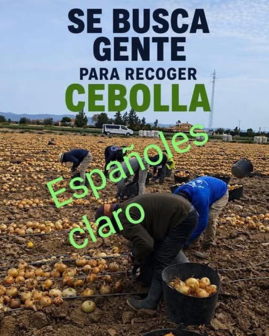 Angel Villas Terruella tweet media