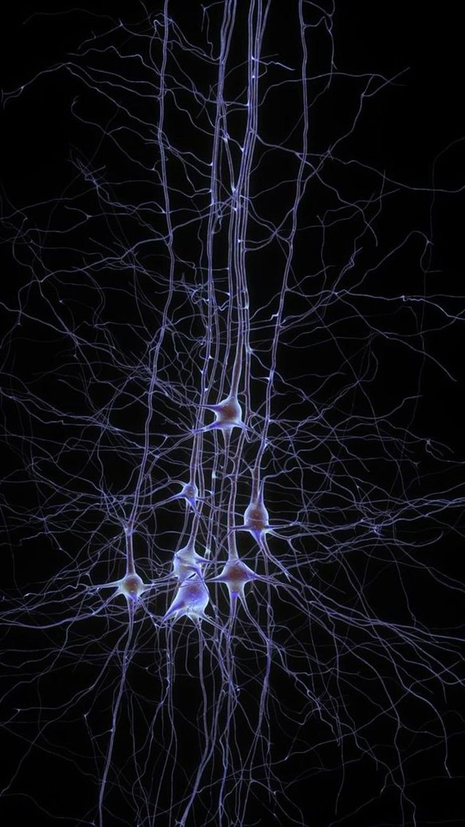 All day Astronomy tweet media