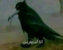 yousef the warlock🔮 tweet media