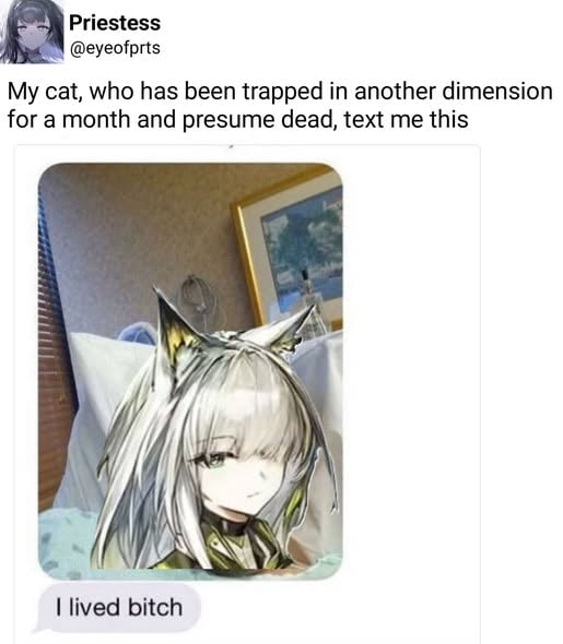 No Context Arknights (@nocontextarkn) on Twitter photo 