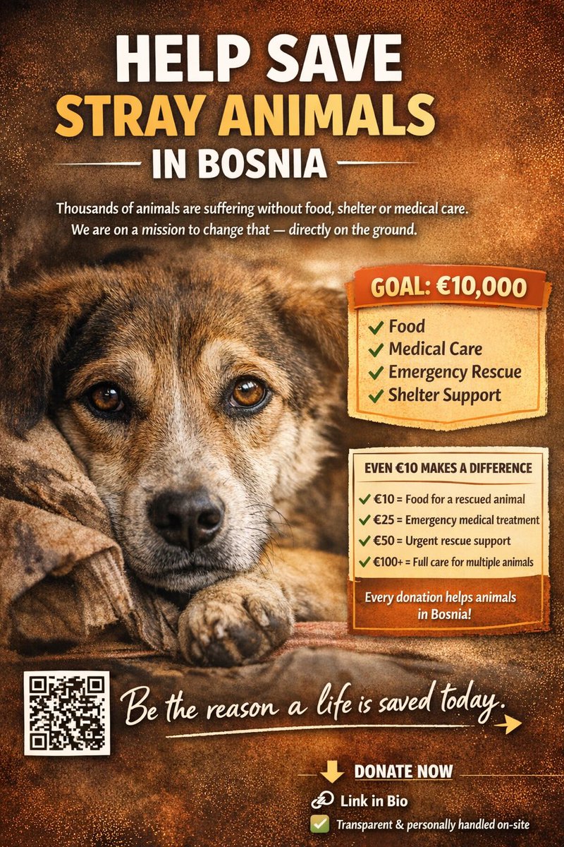 13Stunde's tweet photo. Hilf dabei, streunende Hunde in Bosnien zu retten.

Mit herzlichem Dank  
Balu  

https://t.co/uFOhl0DG2p oder https://t.co/V5pxDnQaQ2 https://t.co/1SJxb8rt7E