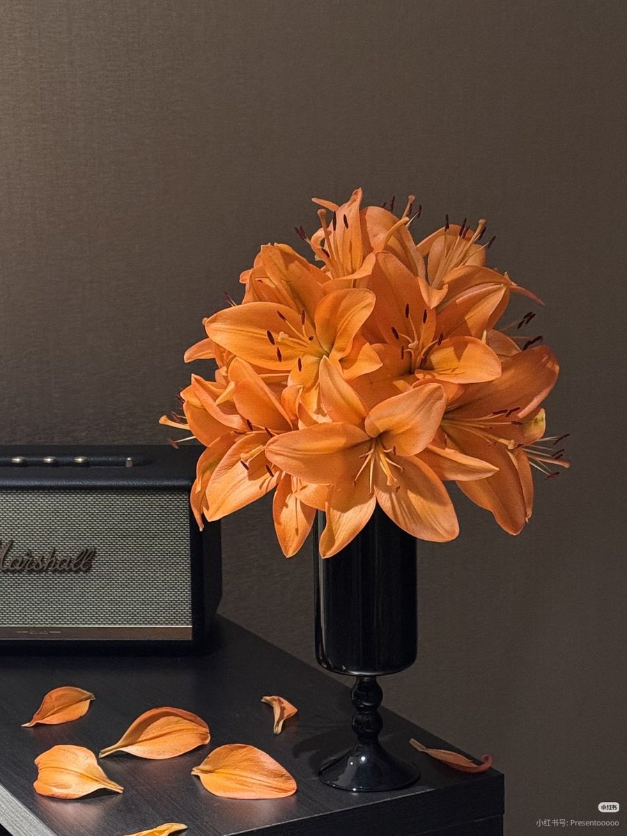 The Dream Vault (@thedream_vault) on Twitter photo 