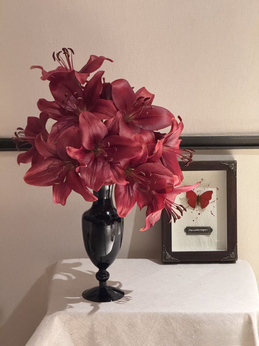 Bloomify tweet media