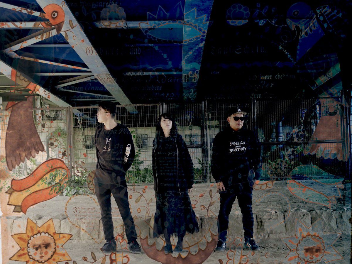 COLLAPSE tweet media