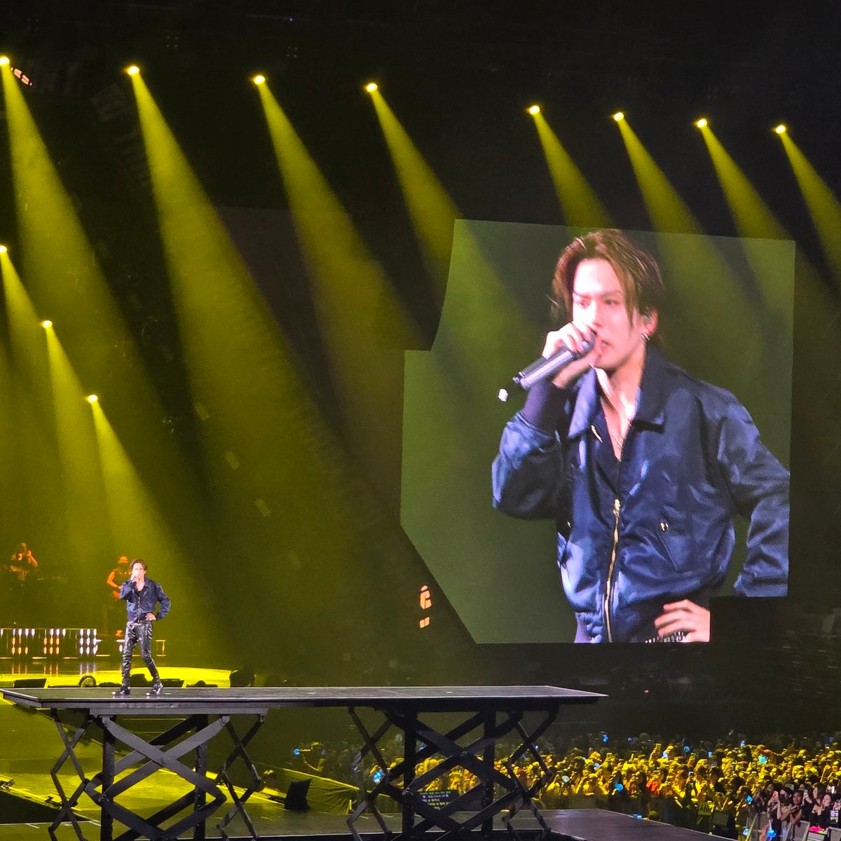 티트리 tweet media