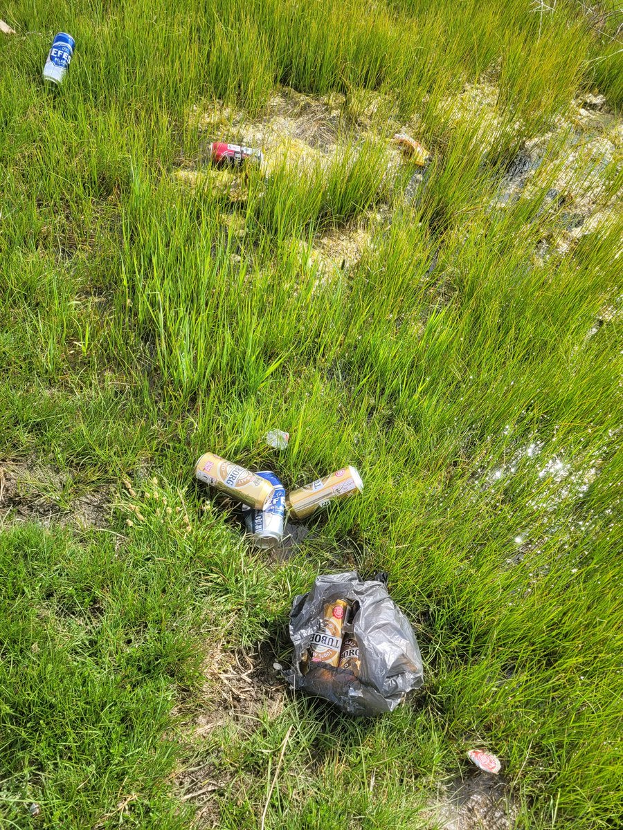 Omar Mahmud tweet media