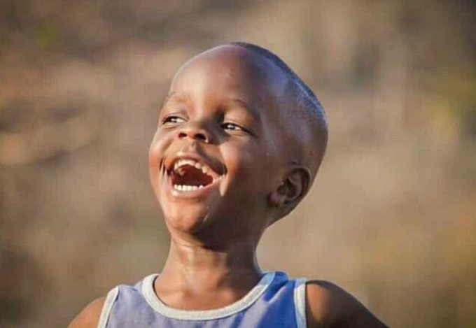 OweSilo 2.0 tweet media