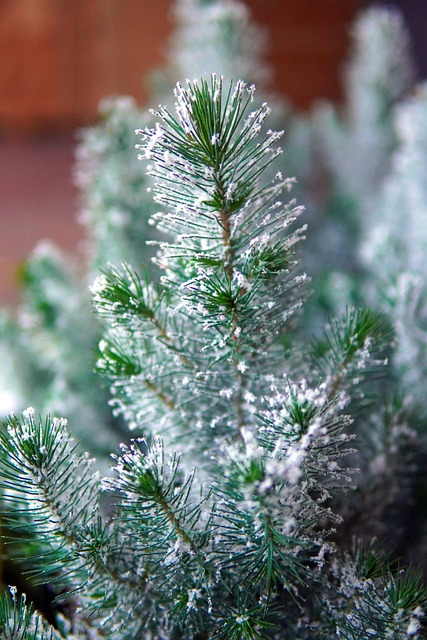 Johanna Foster tweet media