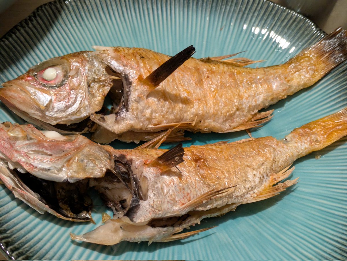 アカムツ食べ切ってしまった
この魚だけは毎日食べても飽きん