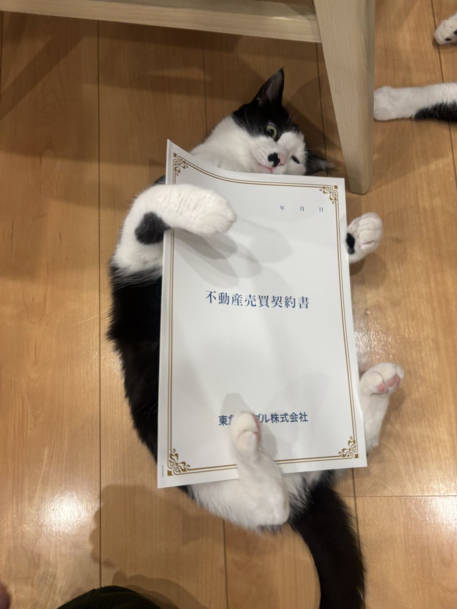 mocomoc1123's tweet photo. 家無事に売れた🏠
新居の建築遅れたら家無しになっちゃう🏠 https://t.co/8PjgmulYzb