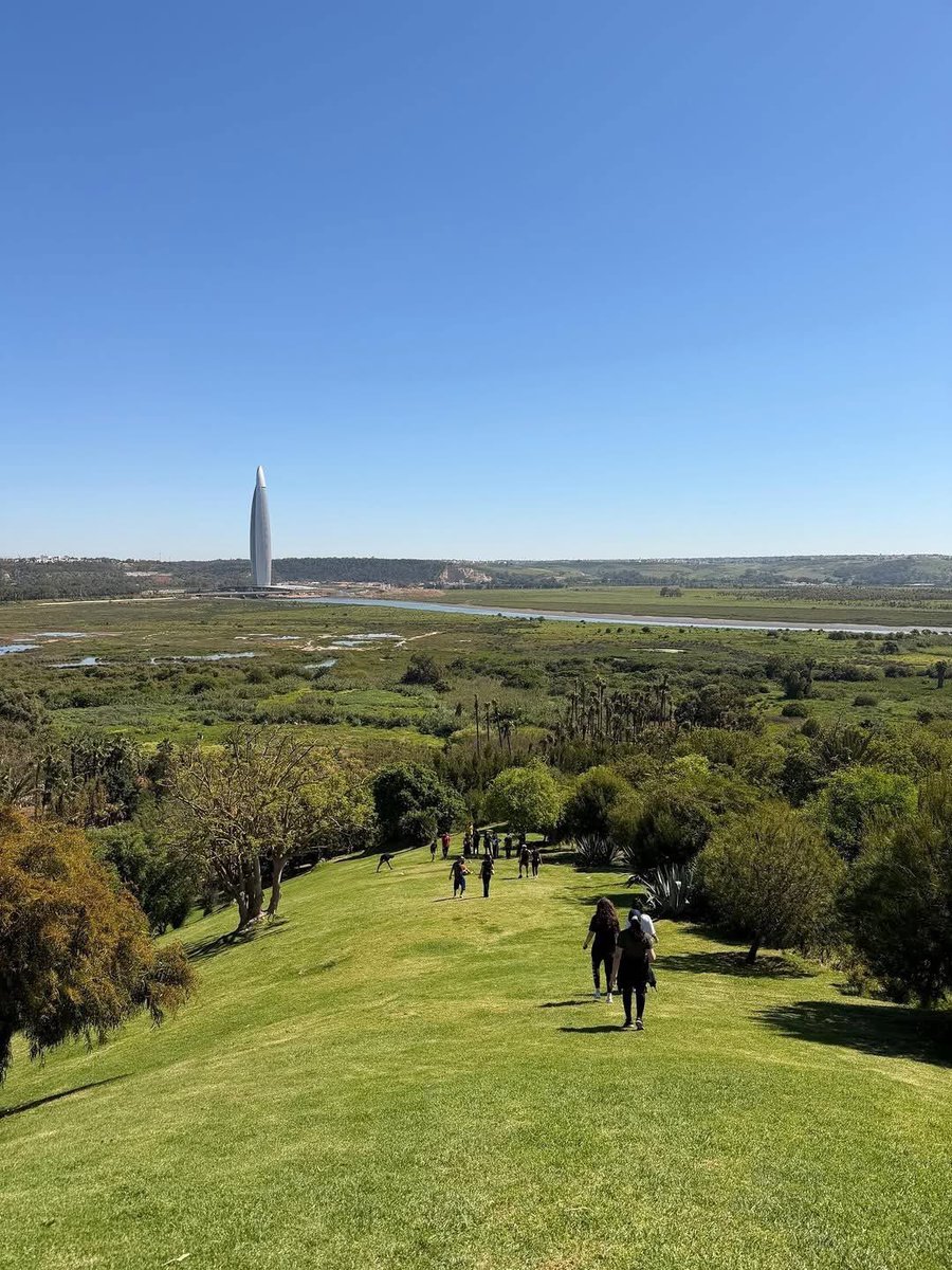 Alma Ahmed tweet media