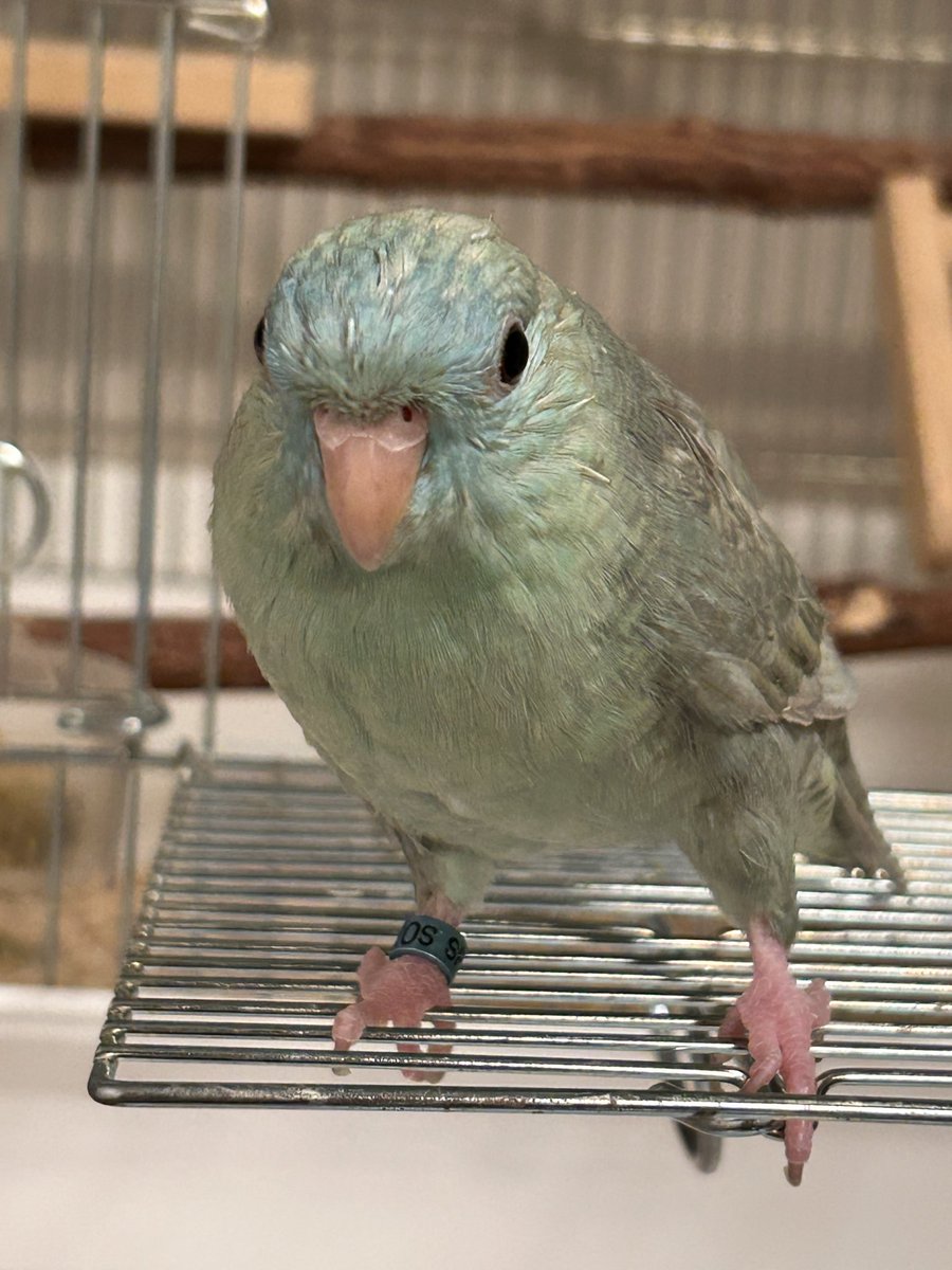 丸ちゃん tweet media