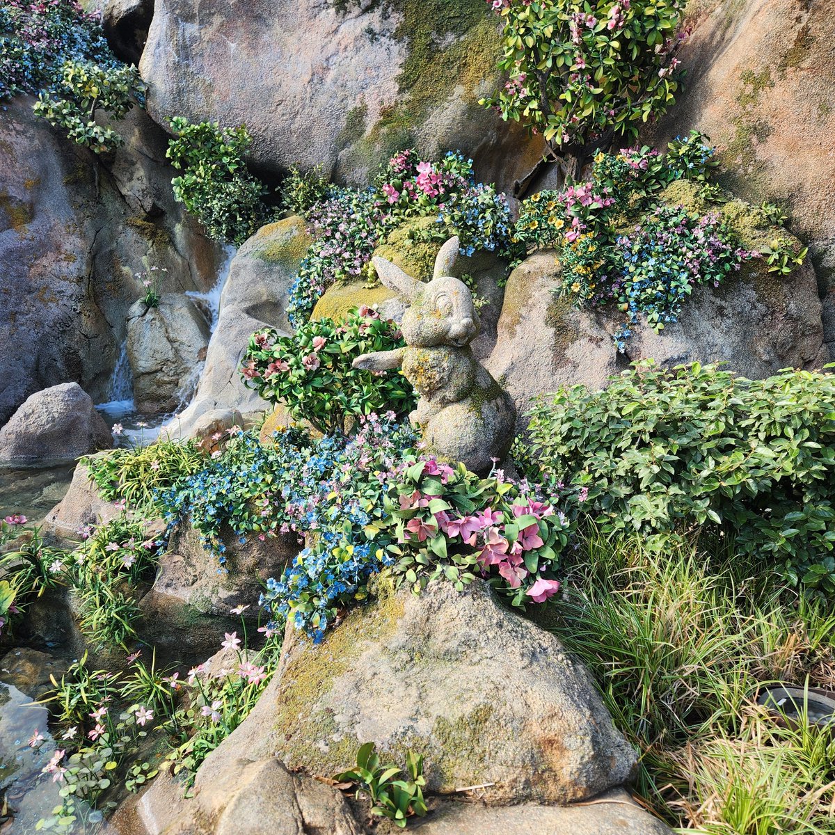 ジゼナイト tweet media